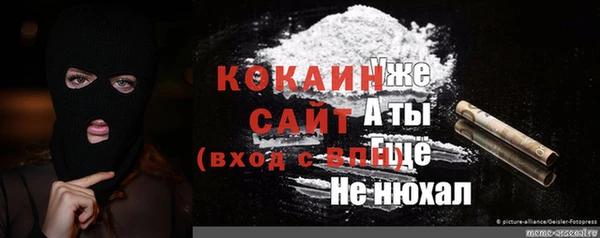 дживик Алзамай