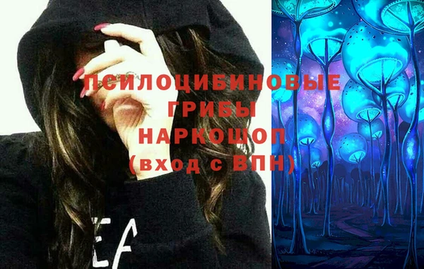спайс Алексин