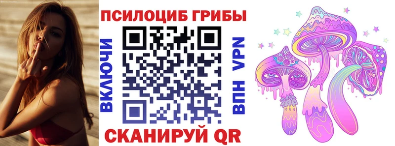 Псилоцибиновые грибы ЛСД  площадка Telegram  Краснознаменск  где купить  